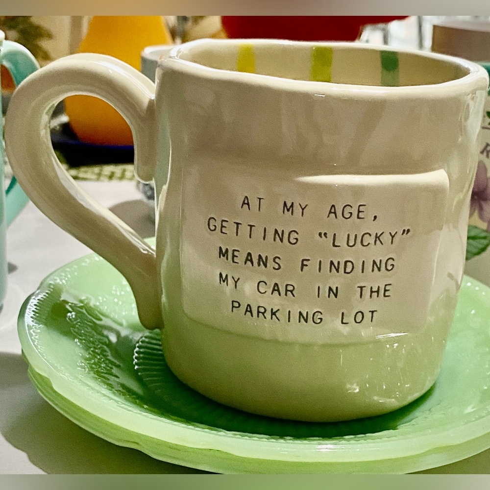 Mud Pie Off White Funny Mug. Colorful Stripes on inside w/raised Writing outside